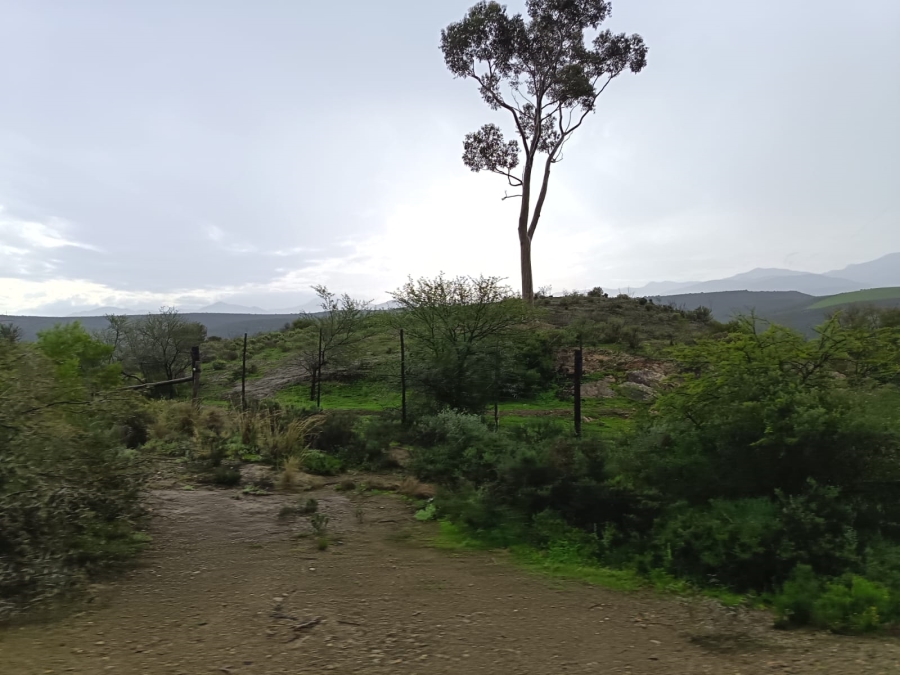 5 Bedroom Property for Sale in Oudtshoorn Rural Western Cape